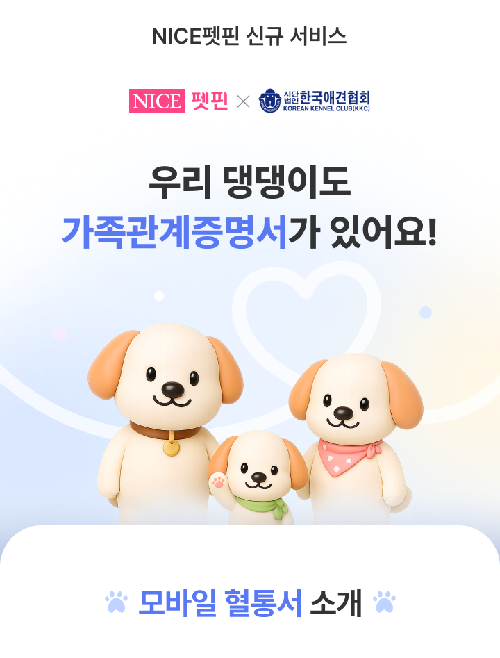 ����� ���뼭 �Ұ�